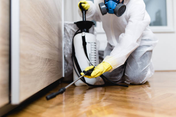 Professional Pest Control in Cudahy, CA