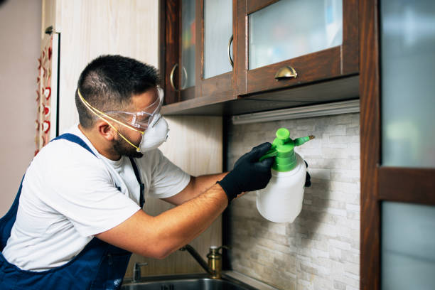 Best Best Pest Control Companies  in Cudahy, CA