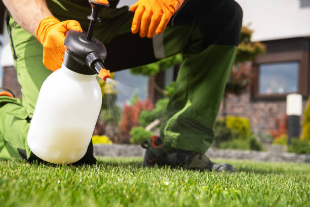Best Pest Prevention Services  in Cudahy, CA