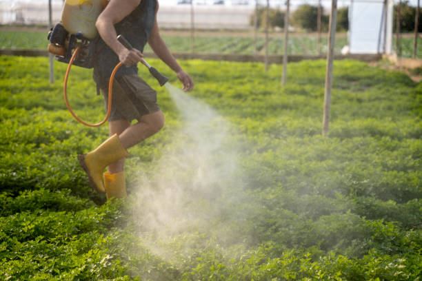 Best Wasp Removal Services  in Cudahy, CA