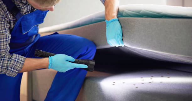 Best Pest Control Near Me in Cudahy, CA