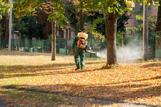 Best Pest Removal Services  in Cudahy, CA