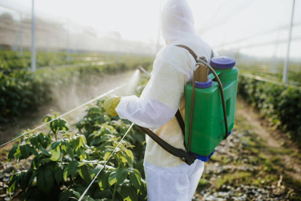 Best Residential Pest Control  in Cudahy, CA